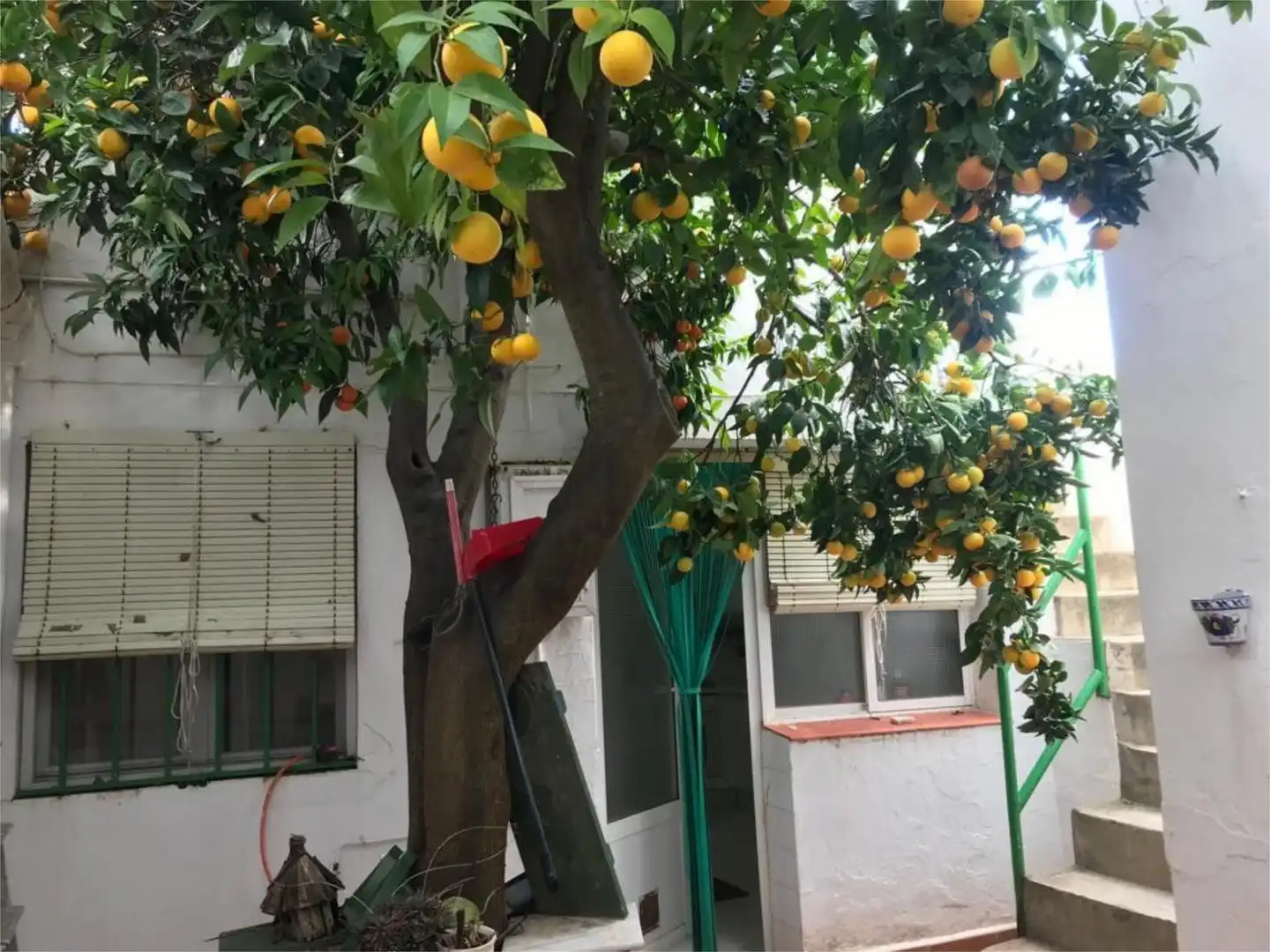Garden of Houses for sale in Olivenza  with Heating, Terrace and Furnished