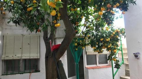 Photo 3 of House or chalet for sale in Calle San Francisco, 13, Olivenza, Badajoz