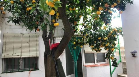 Photo 4 of House or chalet for sale in Calle San Francisco, 13, Olivenza, Badajoz