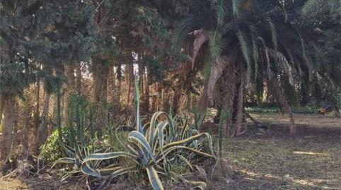 Foto 4 de Casa o xalet en venda a Las Tres Piedras - Costa Ballena, Chipiona
