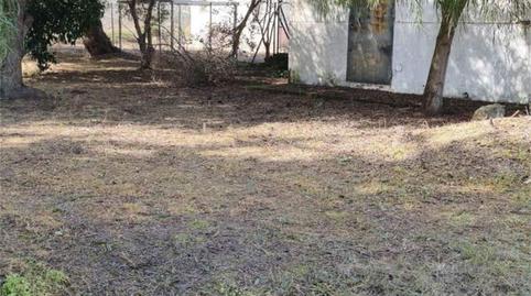 Foto 5 de Casa o xalet en venda a Las Tres Piedras - Costa Ballena, Chipiona