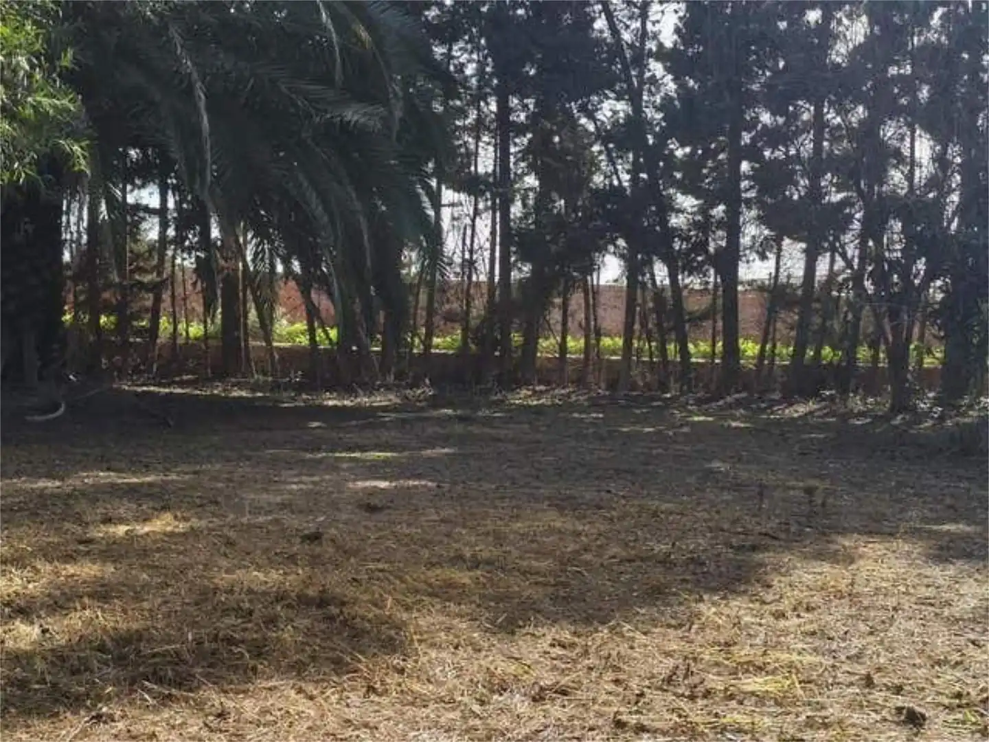 Houses for sale in Las Tres Piedras - Costa Ballena Houses for sale in Chipiona with Terrace
