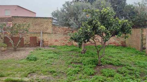 Photo 3 of House or chalet for sale in Monteolivete - Camino Sevilla, Sanlúcar de Barrameda