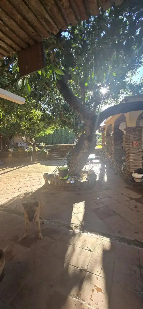 Casa o xalet en venda a Lugar Partido las Agonias, 34, Centro Jardí de Casa o xalet en venda en Alhaurín El Grande amb Terrassa, Piscina i Balcó