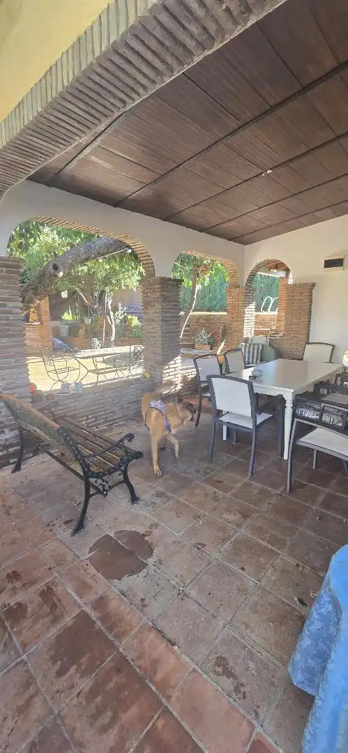 Casa o xalet en venda a Lugar Partido las Agonias, 34, Centro Jardí de Casa o xalet en venda en Alhaurín El Grande amb Terrassa, Piscina i Balcó
