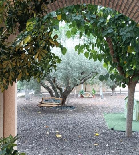 Finca rústica en venta en Camino del Pino, 8, Alcantarilla, Murcia - imagen 1 Foto 1 de Finca rústica en venta en Camino del Pino, 8, Alcantarilla, Murcia