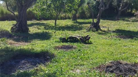 Foto 2 de Pis en venda a Calle Bodeguilla, 1, Torralba de Oropesa, Toledo