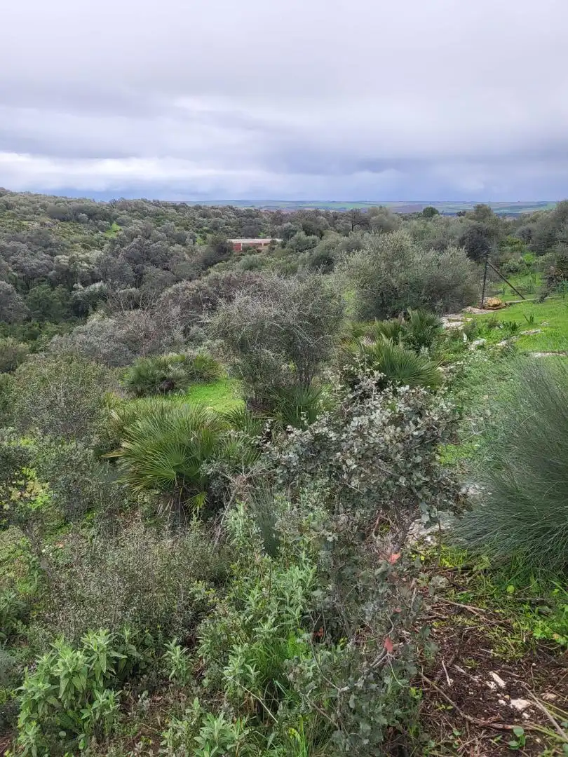 Finca rústica en venda en Málaga
