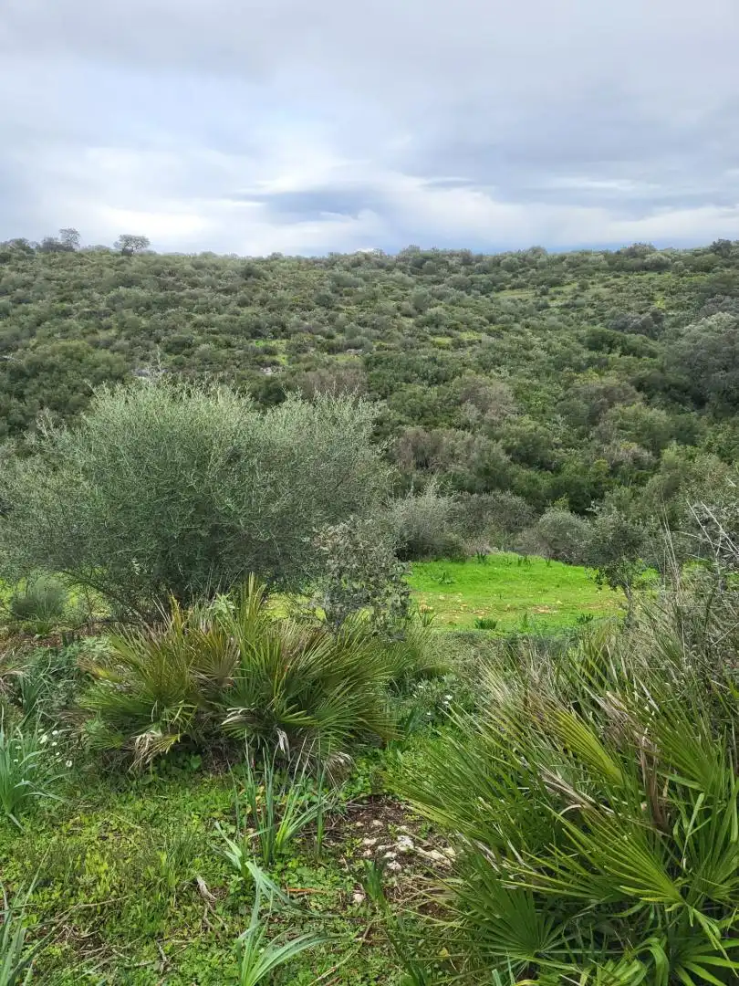 Finca rústica en venda en Málaga