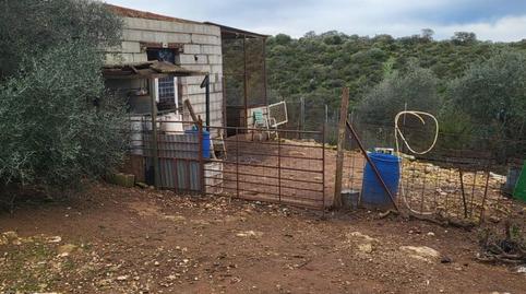 Finca rústica en venda a Calle Héctor Villa-lobos, 5, Alegría de la Huerta- Jardín de Málaga, Málaga Capital - imatge 4 Foto 4 de Finca rústica en venda a Calle Héctor Villa-lobos, 5, Alegría de la Huerta- Jardín de Málaga, Málaga Capital