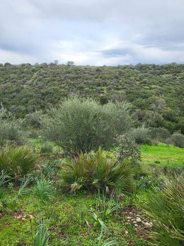 Finca rústica en Venta en Calle Héctor Villa-Lobos, 5 en Alegría de la Huerta- Jardín de Málaga