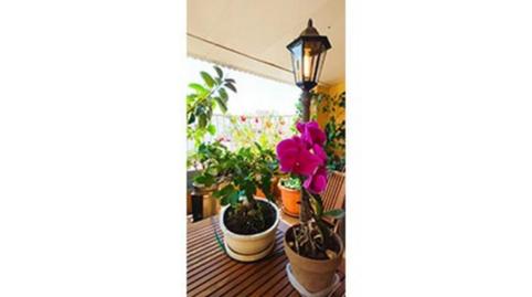 Foto 4 de Àtic de lloguer a Carrer Isidoro Antillón, 11b, Pere Garau,  Palma de Mallorca