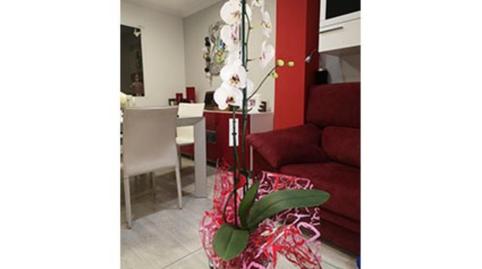 Foto 2 de Àtic de lloguer a Carrer Isidoro Antillón, 11b, Pere Garau,  Palma de Mallorca