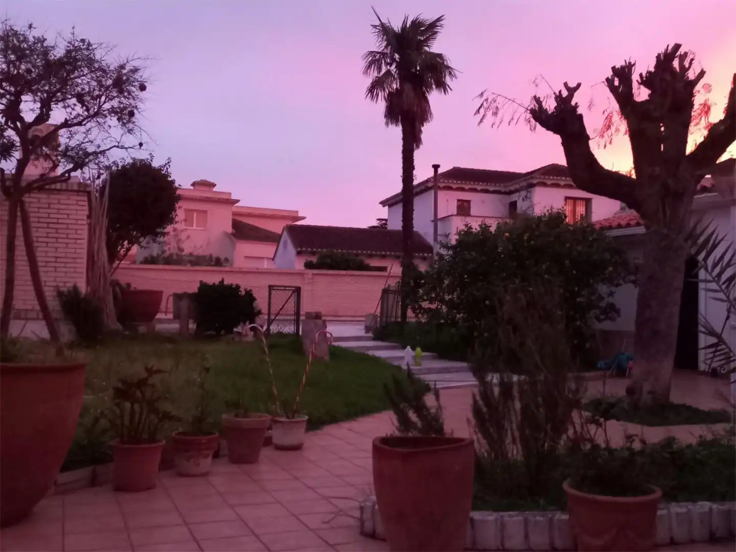 Casa o chalet en venta en Park Nord - Casona Jardín de Casa o chalet en venta en Gandia con Calefacción, Jardín privado y Parquet