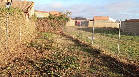 Photo 3 of Single-family semi-detached to rent in Calle Reina María de Hungría, 31, Cigales, Valladolid