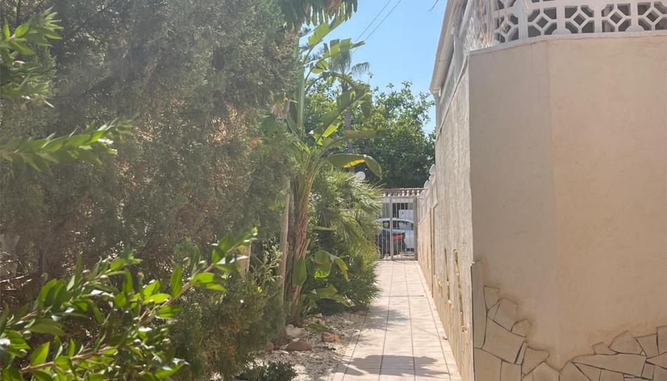 Casa o xalet en venda a Calle Pitas, 4, Cañada del Molino, Torrevieja - imatge 1 Foto 1 de Casa o xalet en venda a Calle Pitas, 4, Cañada del Molino, Torrevieja