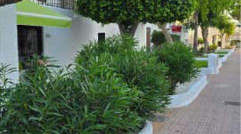 Photo 3 of Apartment to rent in Playa Flamenca, Orihuela