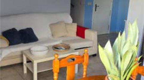 Photo 5 of Apartment to rent in Playa Flamenca, Orihuela