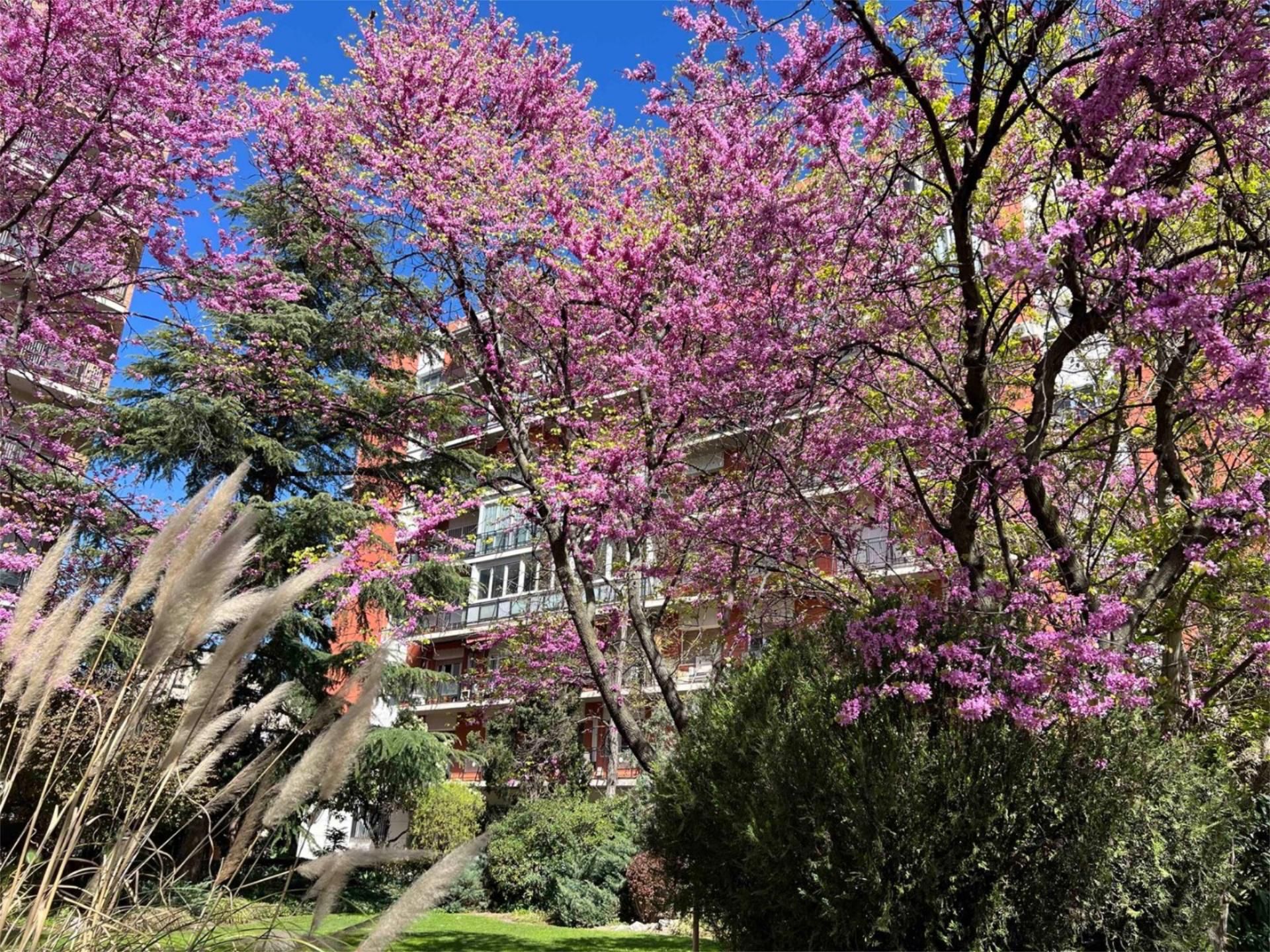 Vista exterior de Pis en venda en  Madrid Capital amb Terrassa