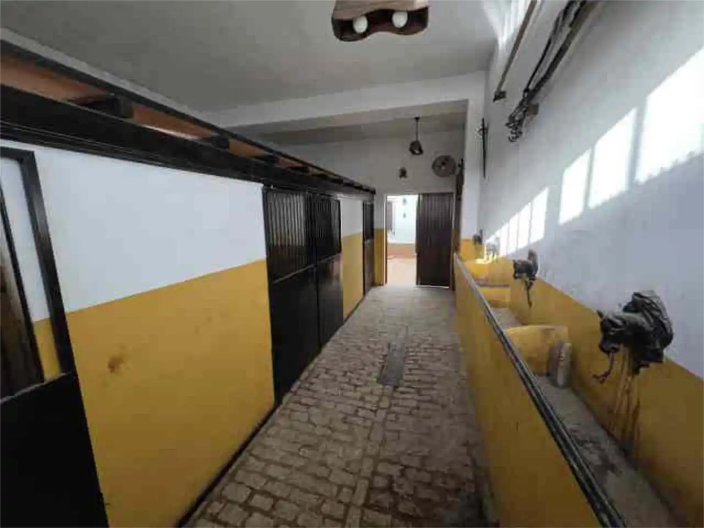 Houses for sale in El Rocío Houses for sale in Almonte with Terrace