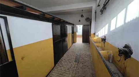 Foto 4 de Casa o chalet en venta en El Rocío, Almonte