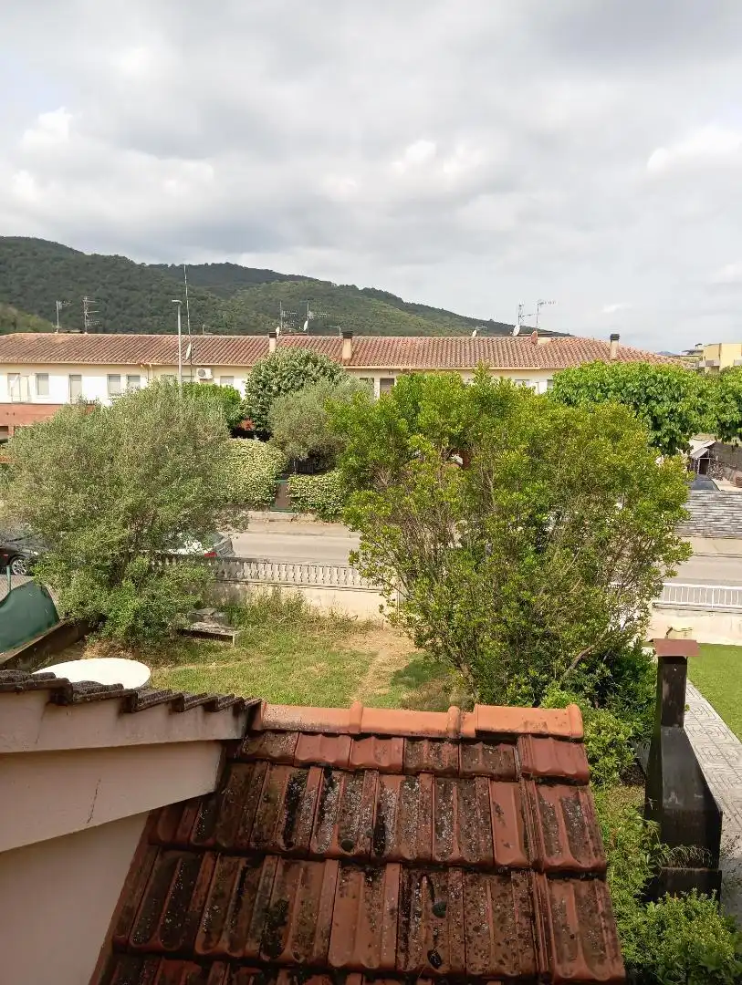 Garden of Detached homes for sale in Besalú