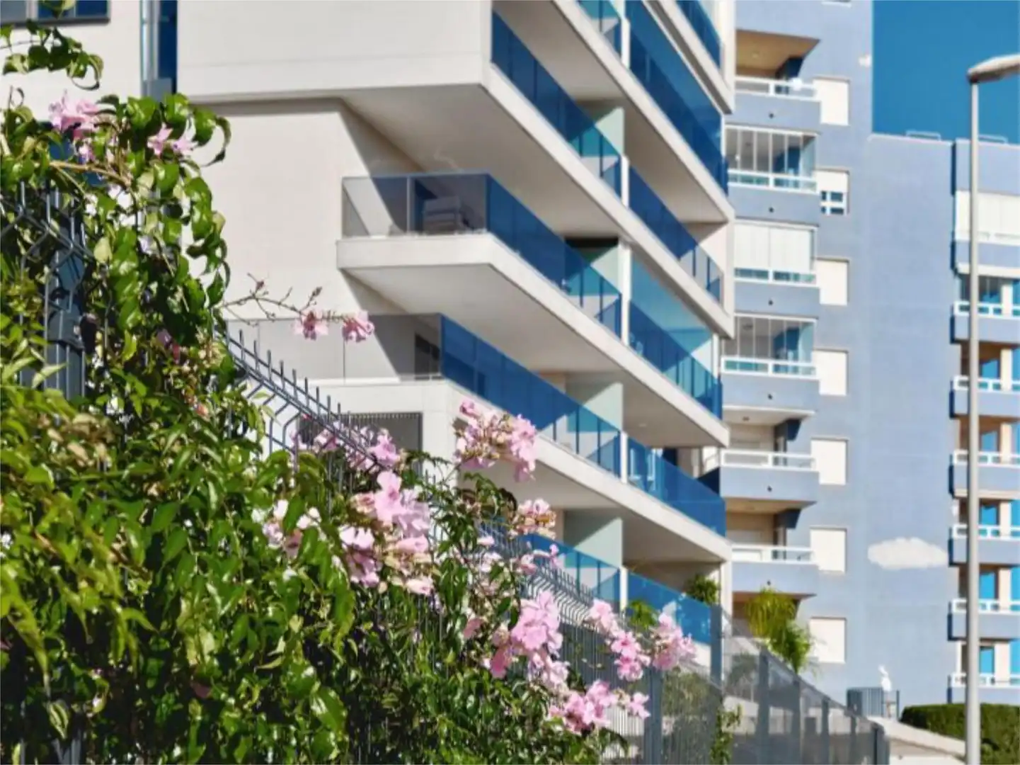 Flat for rent in Calle Jacinto Verdaguer, 25, Campoamor Flat for rent in Calle Jacinto Verdaguer, 25, Campoamor