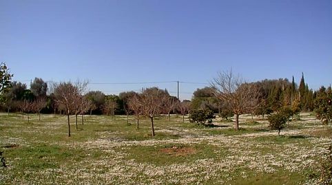 Foto 4 von Country house zum Verkauf in Sencelles, Illes Balears