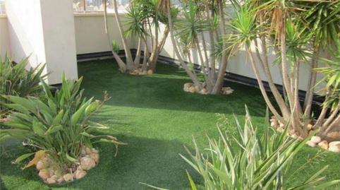 Foto 5 de Piso de alquiler en Carrer José María Castaño Martínez, 44, Altabix, Elche / Elx