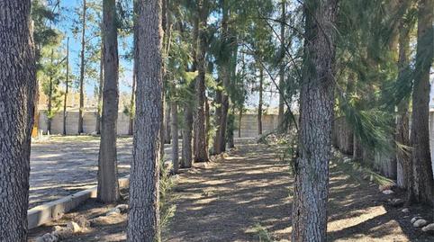 Photo 4 of Country house for sale in Oliva Nova, Oliva