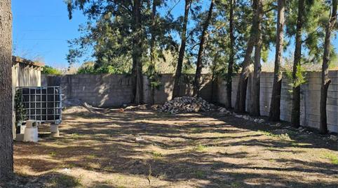 Photo 5 of Country house for sale in Oliva Nova, Oliva