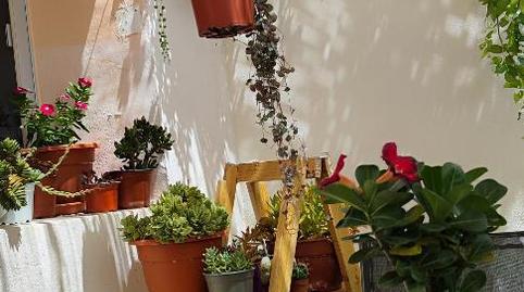 Photo 2 of House or chalet for sale in Calle Deposito, 50, Casas de Ves, Albacete