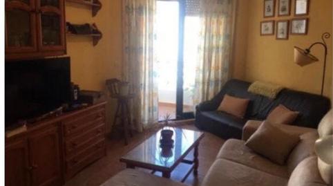 Apartament de lloguer a Alemanes, Zahara de los Atunes - imatge 5 Foto 5 de Apartament de lloguer a Alemanes, Zahara de los Atunes