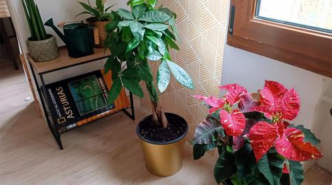 Foto 4 de Pis de lloguer a Avenida de la Constitucion, 76, San Martín del Rey Aurelio, Asturias