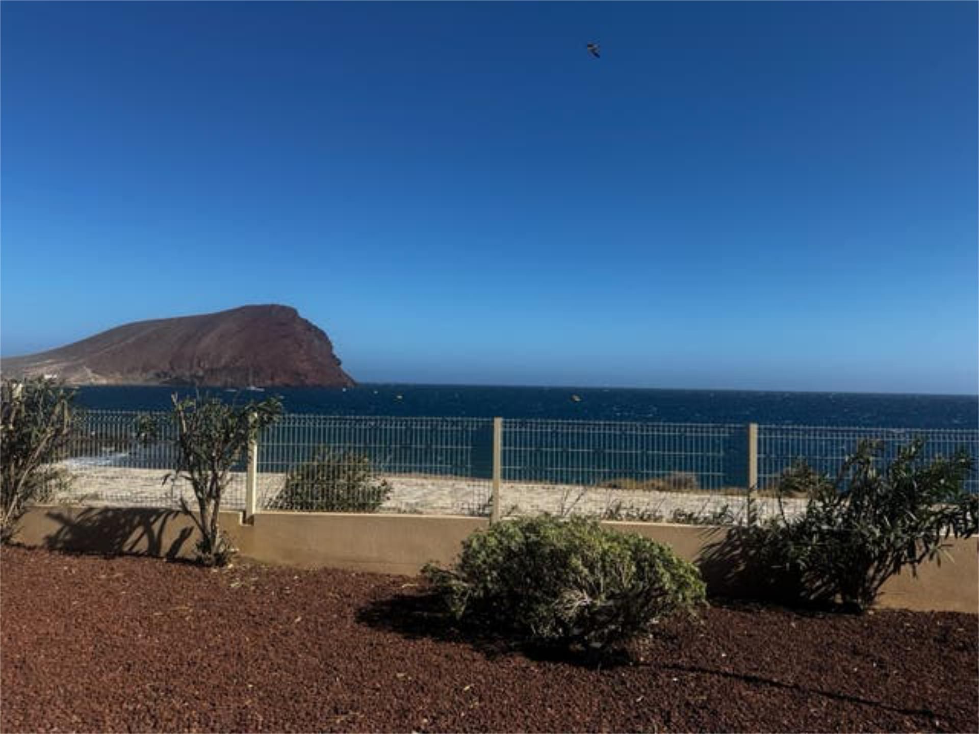 Apartment for rent in Los Abrigos