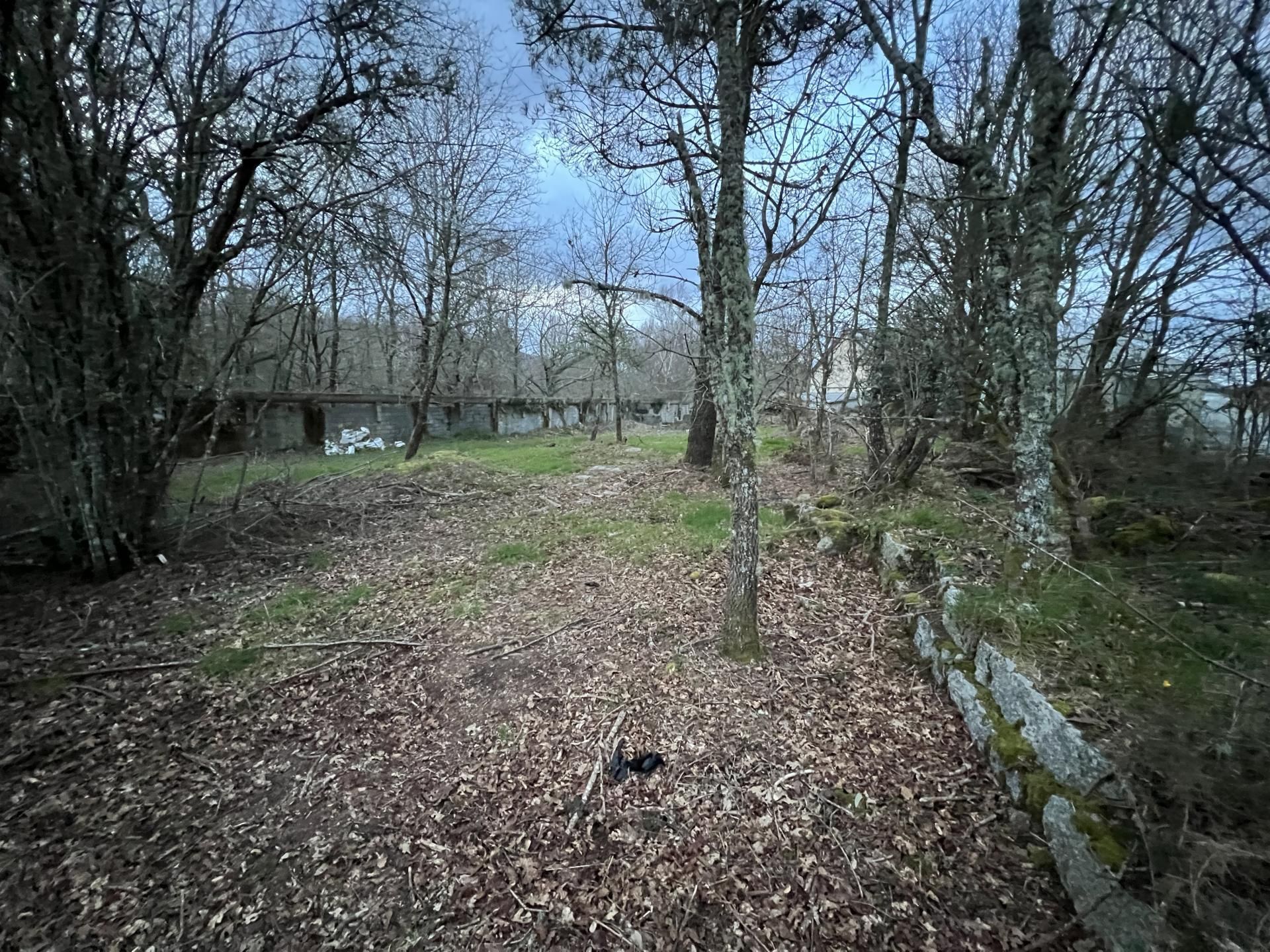 Finca rústica de alquiler en Lugar San Vicente, 44, Avión