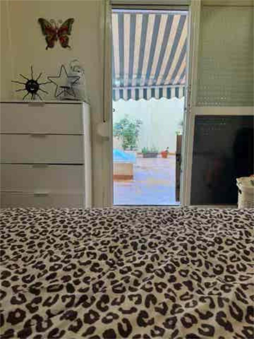 Bedroom of Study for rent in Málaga Capital  with Terrace, Furnished and Pets allowed