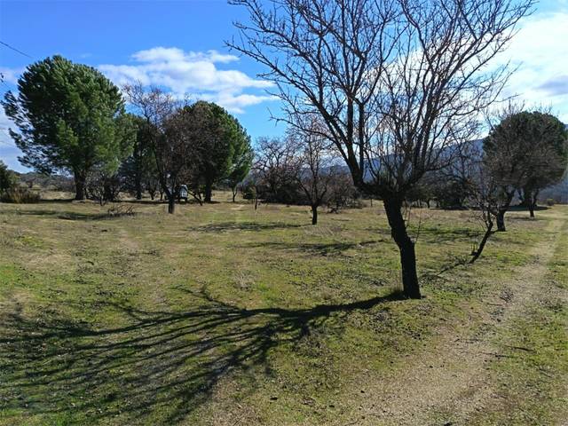 Finca rústica en Venta en Avenida Doctor Felix Rguez Fuente, 35 en San Martín de Valdeiglesias