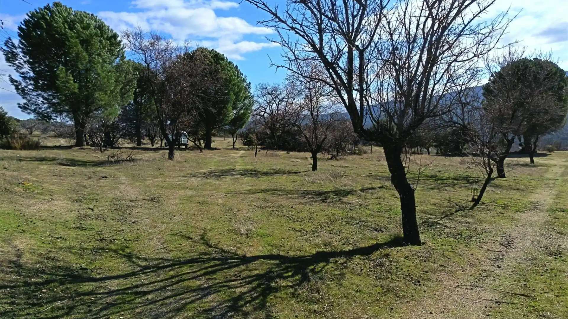 Finca rústica en venta en San Martín de Valdeiglesias