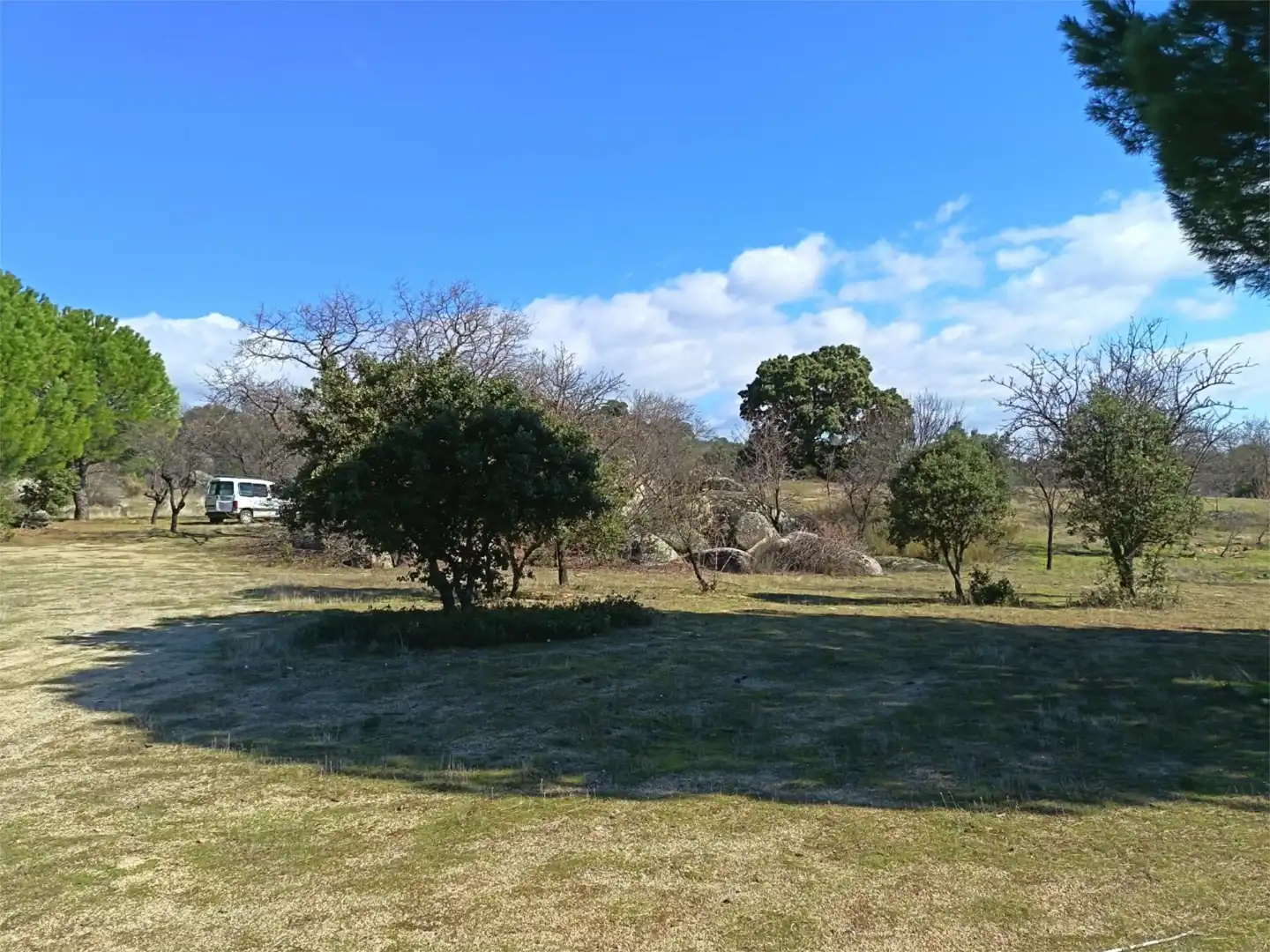 Country homes for sale in San Martín de Valdeiglesias
