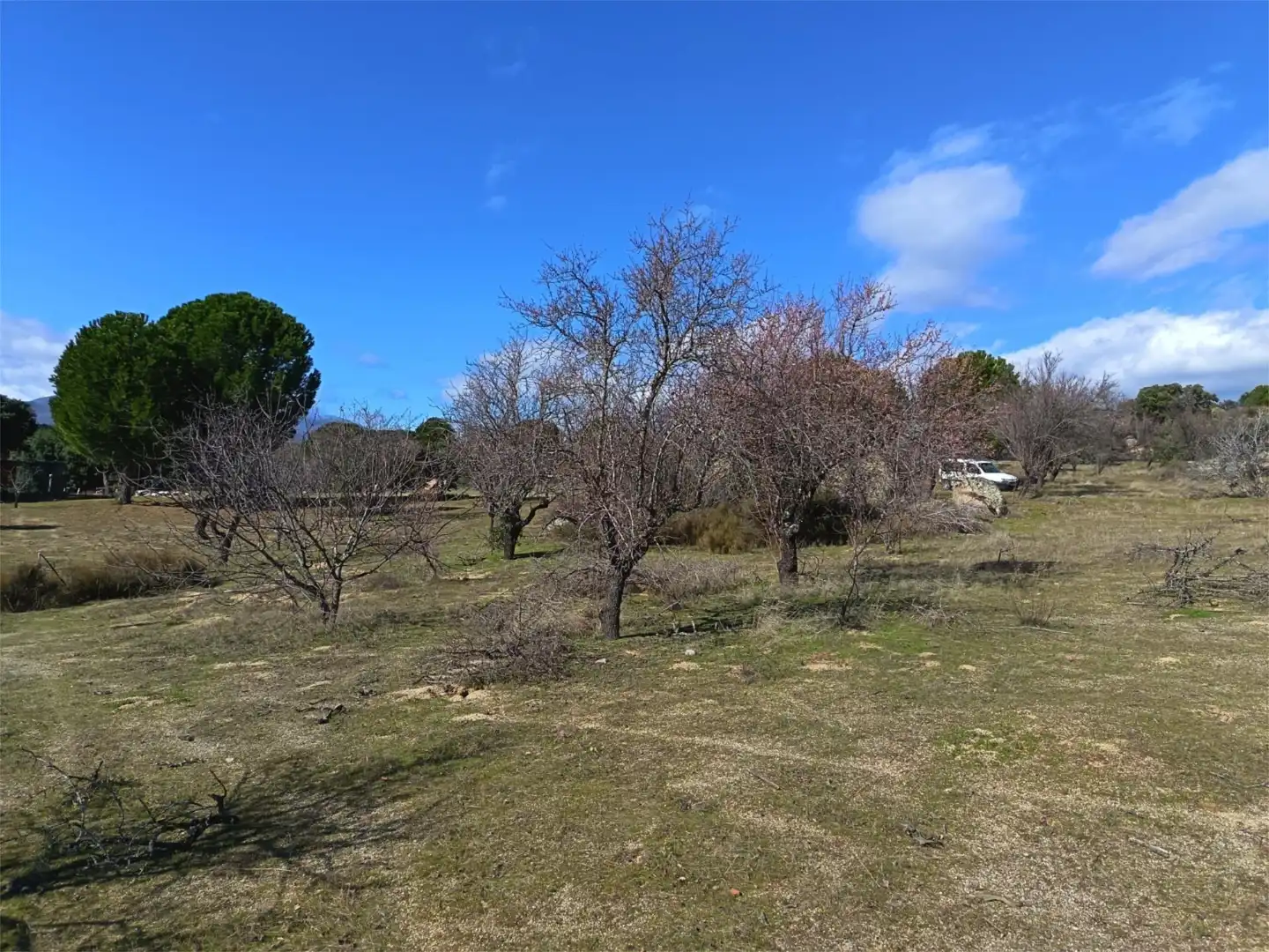 Country homes for sale in San Martín de Valdeiglesias
