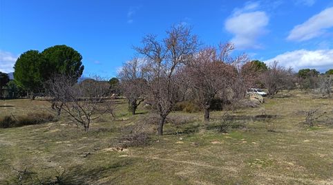 Foto 2 de Finca rústica en venta en Avenida Doctor Felix Rguez Fuente, 35, San Martín de Valdeiglesias, Madrid