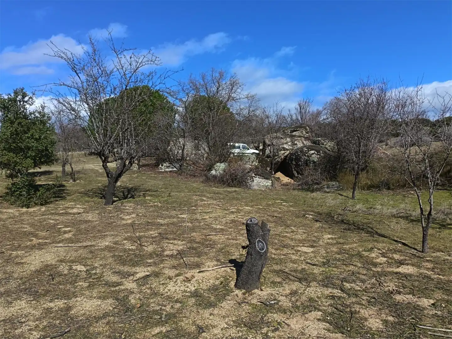 Country homes for sale in San Martín de Valdeiglesias