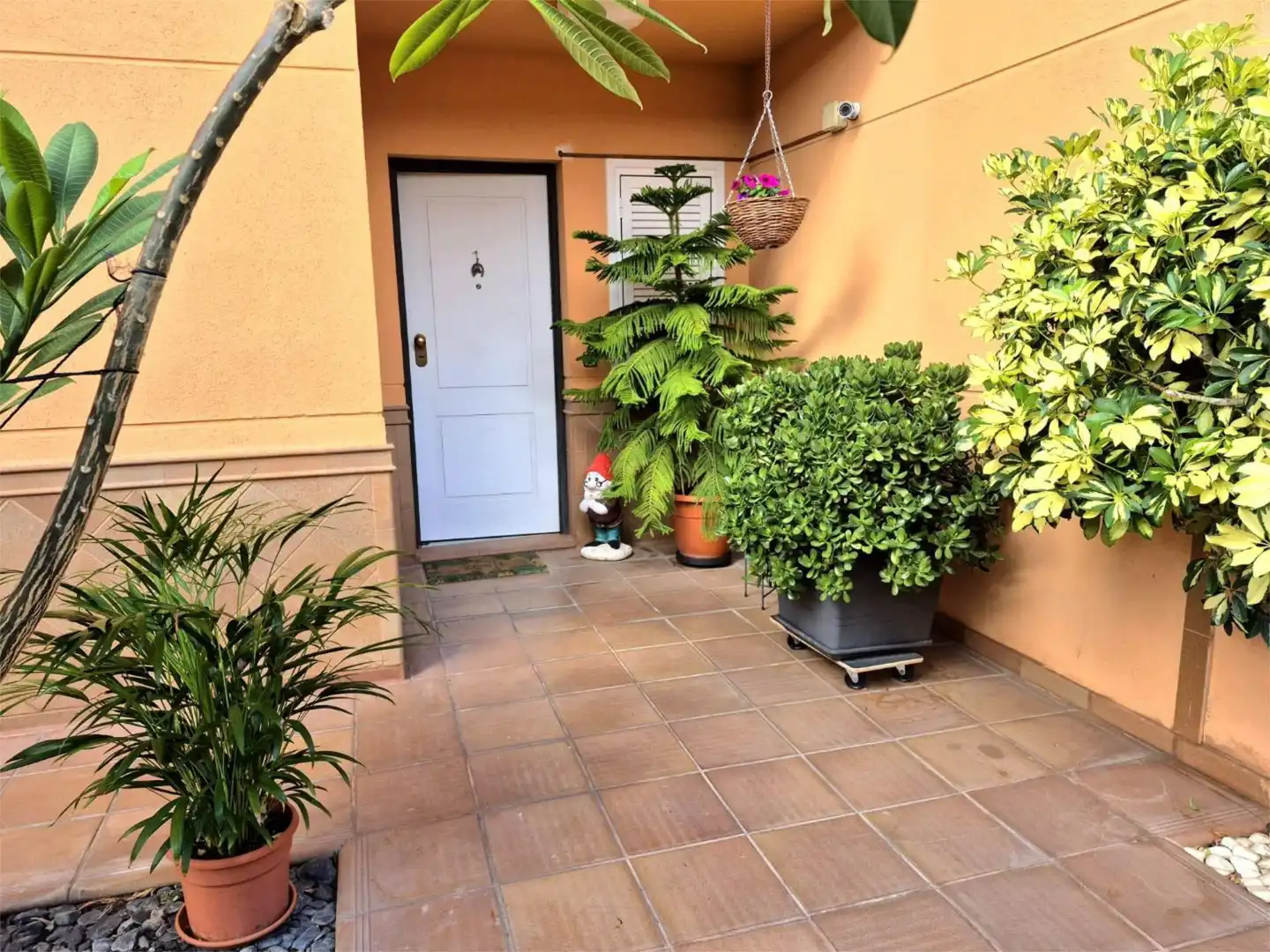 Garden of Houses for rent in Santiago del Teide  with Air Conditioner, Terrace and Swimming Pool