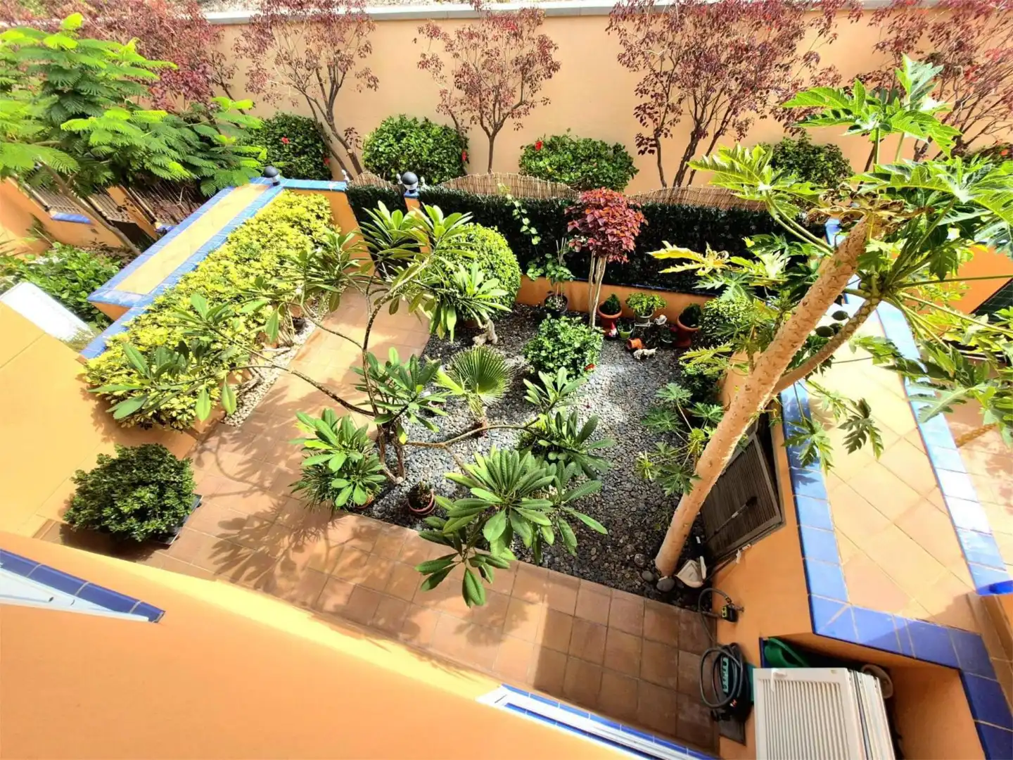 Garden of Houses for rent in Santiago del Teide  with Air Conditioner, Terrace and Swimming Pool