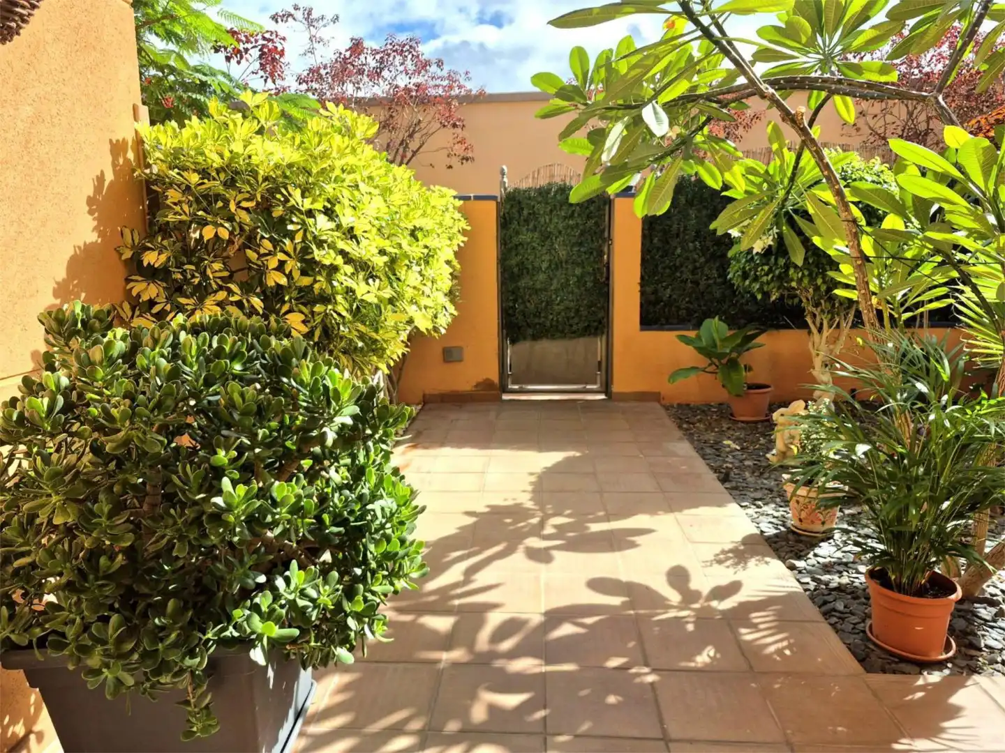Garden of Houses for rent in Santiago del Teide  with Air Conditioner, Terrace and Swimming Pool