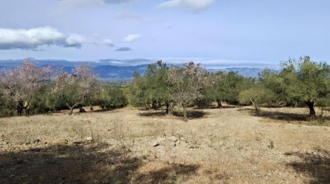 Finca rústica en venda a Partida Collades, 9143, Grau - Quintanes, Amposta - imatge 2 Foto 2 de Finca rústica en venda a Partida Collades, 9143, Grau - Quintanes, Amposta