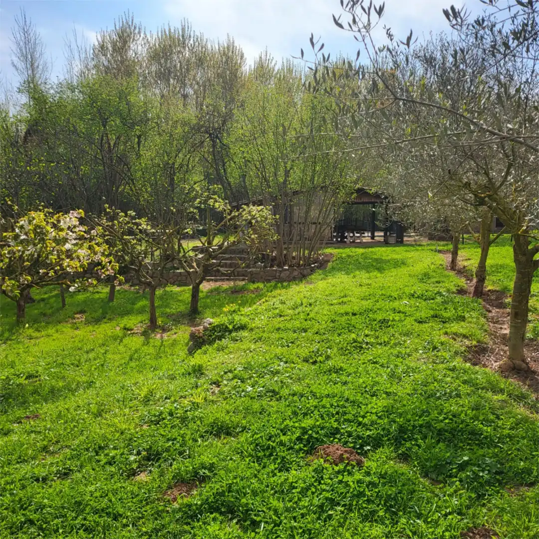 Finca rústica en venda a Paseo del Soto, 4, Hormilleja Finca rústica en venda a Paseo del Soto, 4, Hormilleja