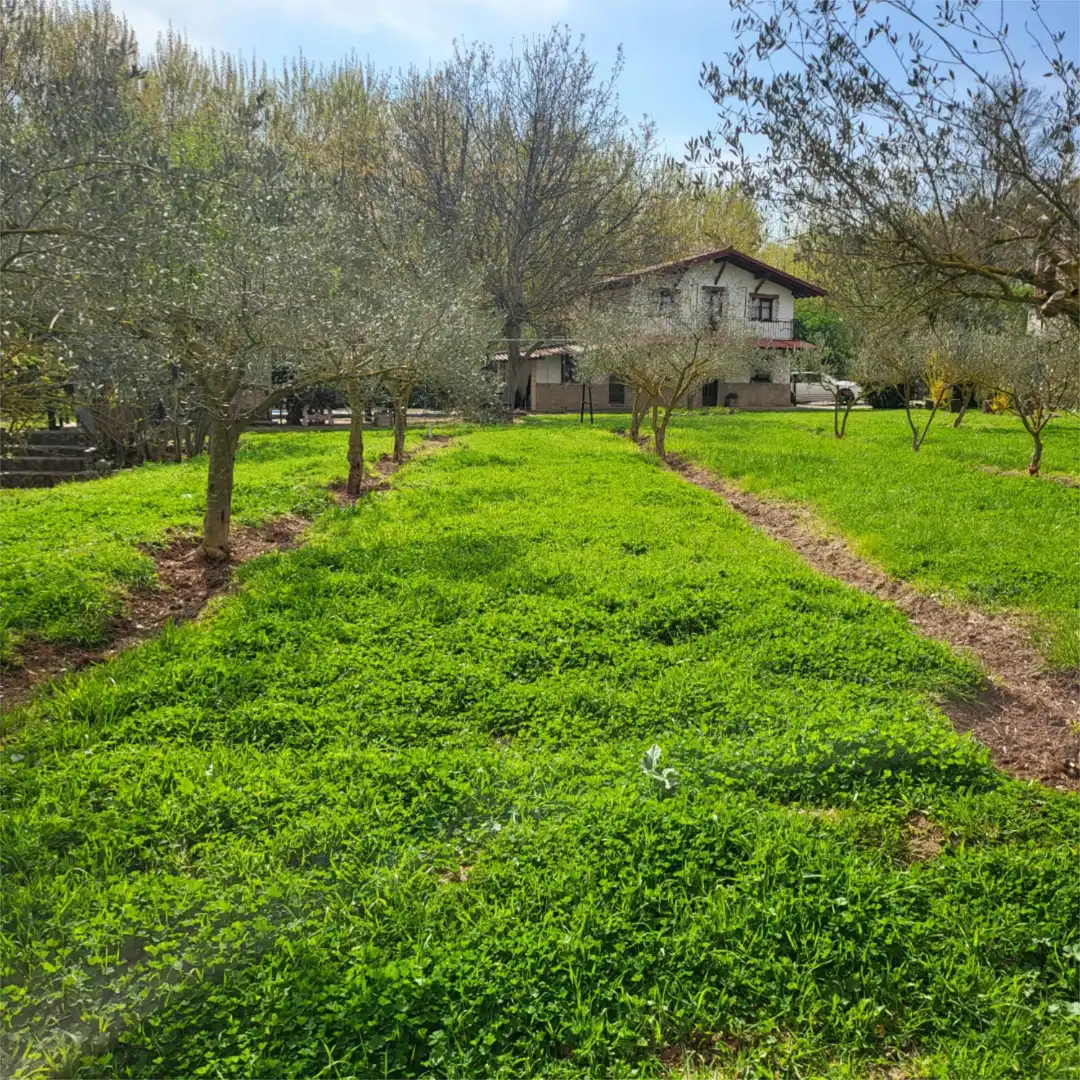 Finca rústica en venda a Paseo del Soto, 4, Hormilleja Finca rústica en venda a Paseo del Soto, 4, Hormilleja