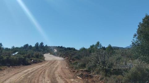 Finca rústica en venda a Calle Eras, 33, Llucena / Lucena del Cid, Castellón - imatge 2 Foto 2 de Finca rústica en venda a Calle Eras, 33, Llucena / Lucena del Cid, Castellón